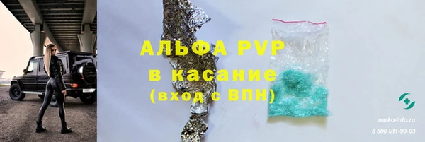 сатива Арсеньев
