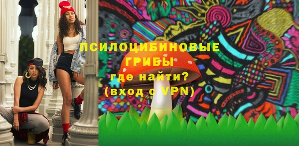 mdpv Армянск