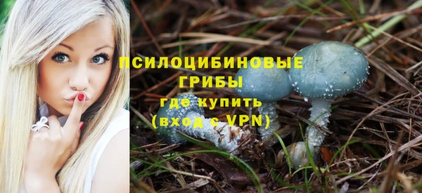 mdpv Армянск