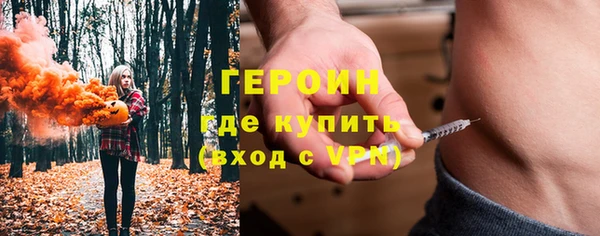 сатива Арсеньев