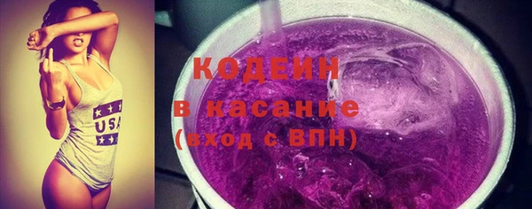 сатива Арсеньев