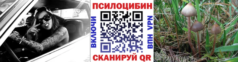 купить наркотики цена  Окуловка  Галлюциногенные грибы Psilocybe 